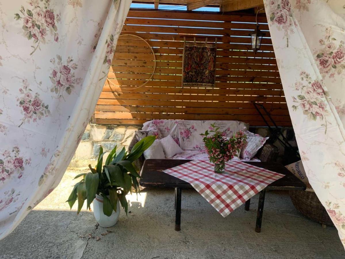 Triglav Edelweiss Guest House Pavel Banea Exterior foto